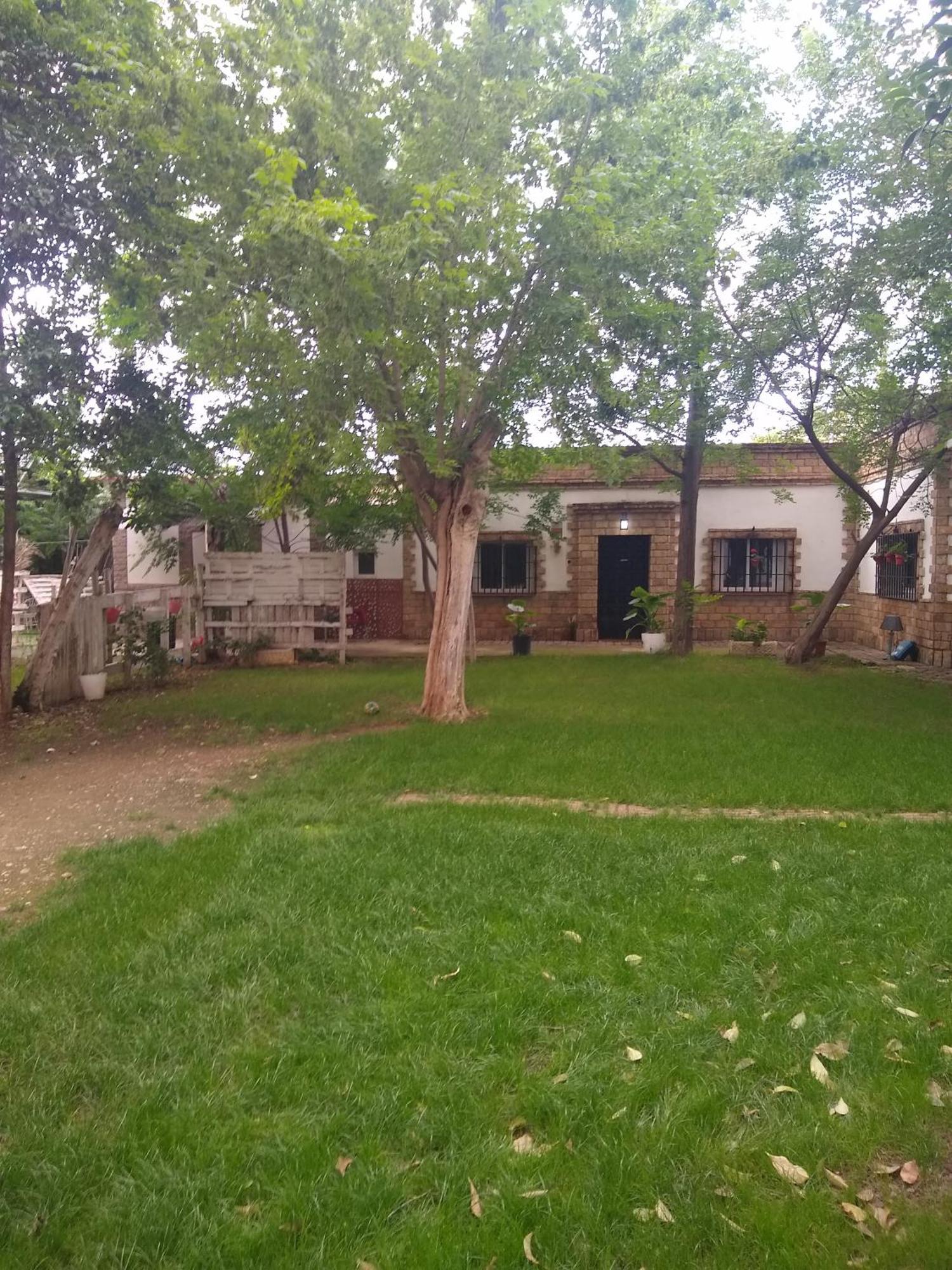 El Naranjo Seville